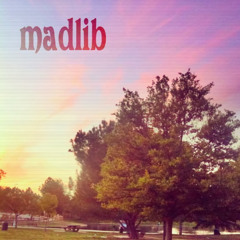 Madlib - What A Day (unreleased)