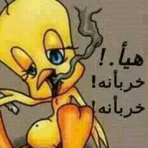 وانا طالع