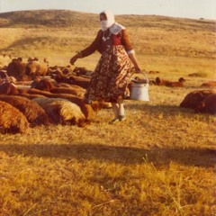 Seyda Perincek Yek Jı Mın Çu Yek Jı Te Çu 2013 NÜ