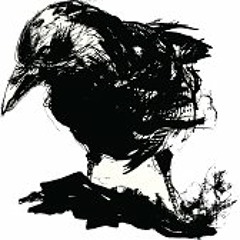 Black Crow ( Drum & Bass )