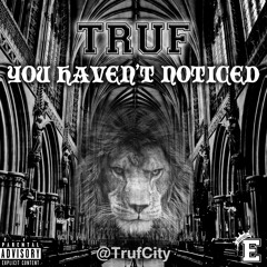 YOU HAVEN'T NOTICED BY TRUF