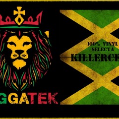Killercell - 100% Raggatek vinyl mix [free download]