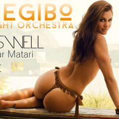 Relight Orchestra - Elegibo (Eden Shalev Remix)          (Bar Matari Edit)