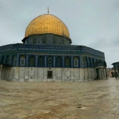 قرانيات