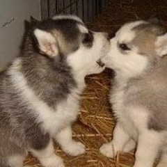 SoulSearching Instrumental