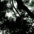 Artwork for Solitude ~ JogSingh
