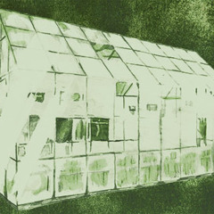 Lo Rock festival 2015