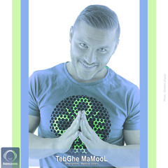 Armin 2@fm -- Tebghe Mamool