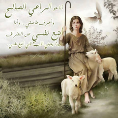 Gospel of Luke Explanation - Part 11