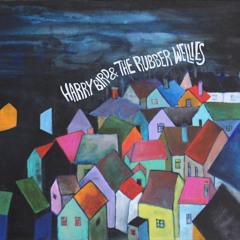 Harry Bird And The Rubber Wellies // A Pirate Song