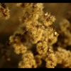 Ambient Demo Track 3