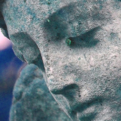 Flicker Rate - Elusive Rain