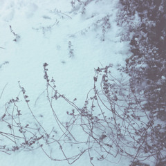 Film of Snow