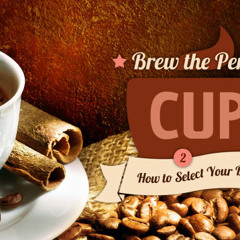 Brew the Perfect Cup pt.1
