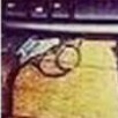 A1°_ xX inching Xx  at Whitebox muzik