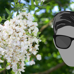 Tudor Gheorghe - Au Innebunit Salcamii (EsKayZee Remix)