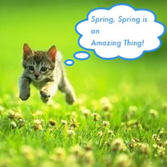Spring Is An Amazing Thing!