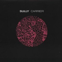 Sully - It's Your Love