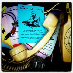 Emission Canal Mix Vendredi 30 Janv 15 invité The Bleen