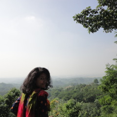 হার মানা হার !