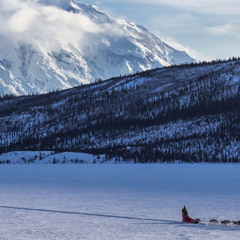 Comes Around Again by LIES