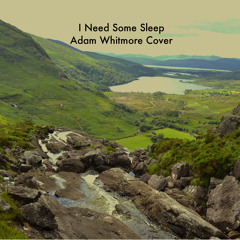 I Need Some Sleep (from Shrek 2) | Eels Cover By Adam Whitmore