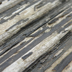 Spoken Word Poetry: Not To Be