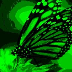 Butterfly Shadow (album version)