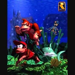 Donky Kong country aquatic ambience remix