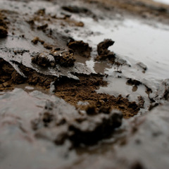 find muck