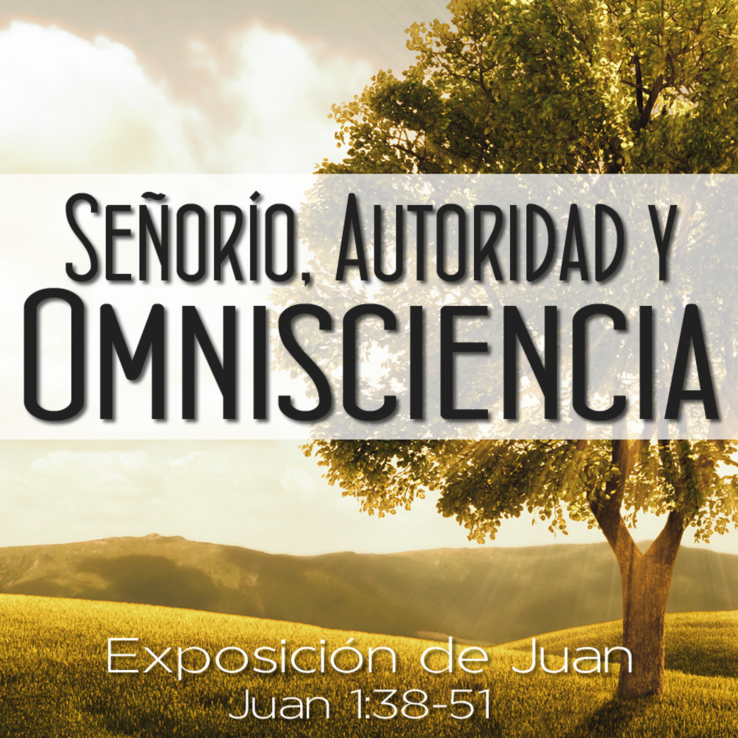 Señorio, Autoridad y Omnisciencia episode artwork