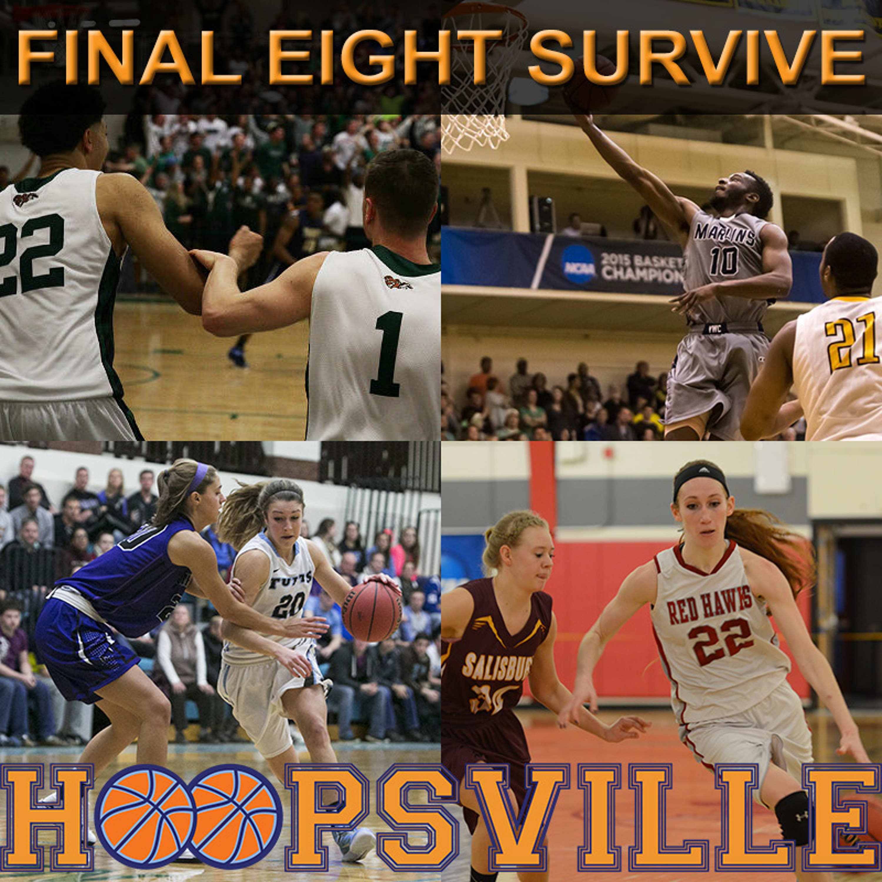 Hoopsville