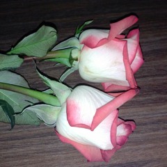 "Flowers Never Bend With The Rainfall"