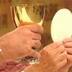 YA NO ERES PAN Y VINO