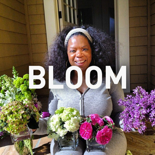 ✿ BLOOM MIX ✿