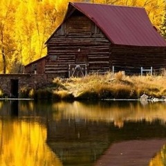 هایده . واسه دل بلا شدی