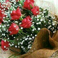 حمیرا.بذار بگن دیوونه تم