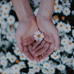 พบกันใหม่