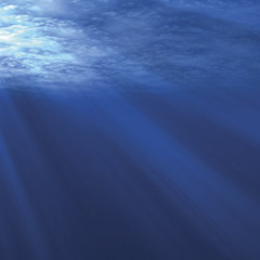 No Expectations - Gosse de Serlay - Axel Tschiember