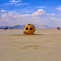 On the Playa 2014