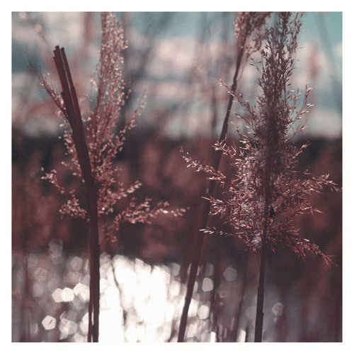 09.22.14_FiindWhatYouSeek_v01