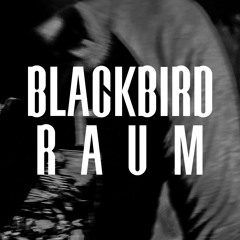 Blackbird Raum - Whitebled (Mouser Session)