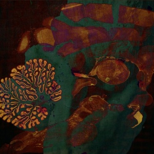 Stream Glass Animals - Cocoa Hooves by Amari Lilton | Listen online for