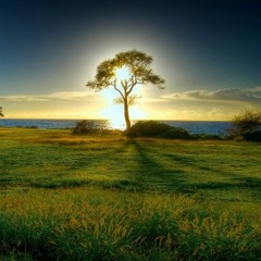 Awakening [Techno-Drumcode]