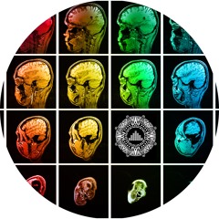 Skubi - Brain Music EP
