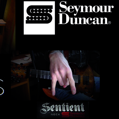 Seymour Duncan Pegasus - Sentient - DEMO clip #1