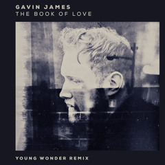 Gavin James // The Book Of Love (Young Wonder remix)