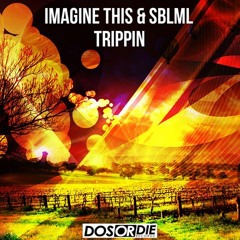 Imagine This & Sblmnl - Trippin (Seal De Green Remix)