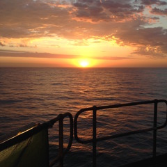 Northern Endeavor Sunrise