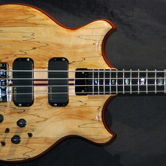 Alembic Stanley Clarke Spalt SN SJ14296